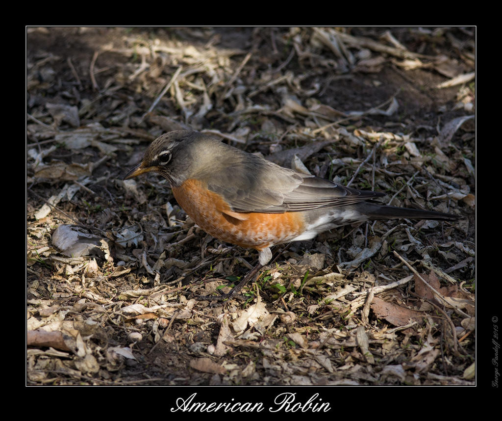 DSC_4922_Web.jpg