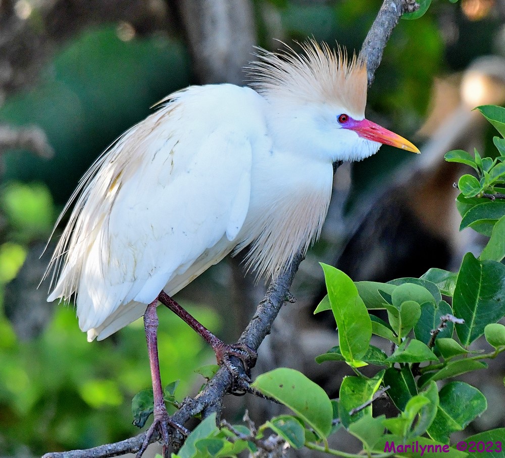 DSC_4923_001.JPG