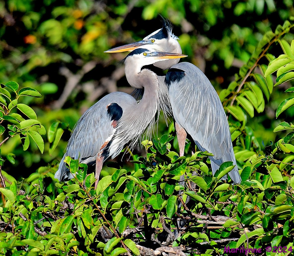 DSC_4923_001.JPG