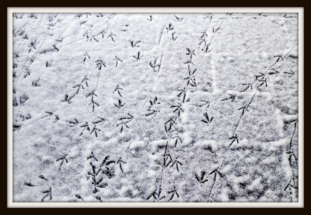 DSC_4925.jpg