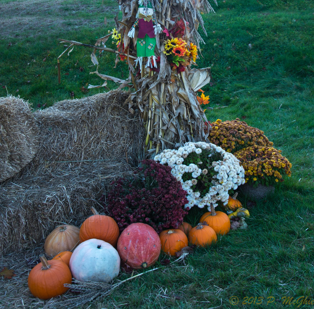 DSC_4932.jpg