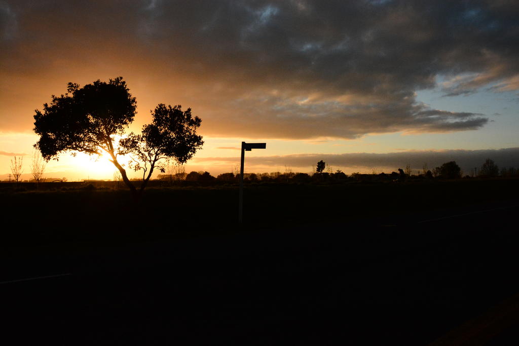 DSC_4933.jpg