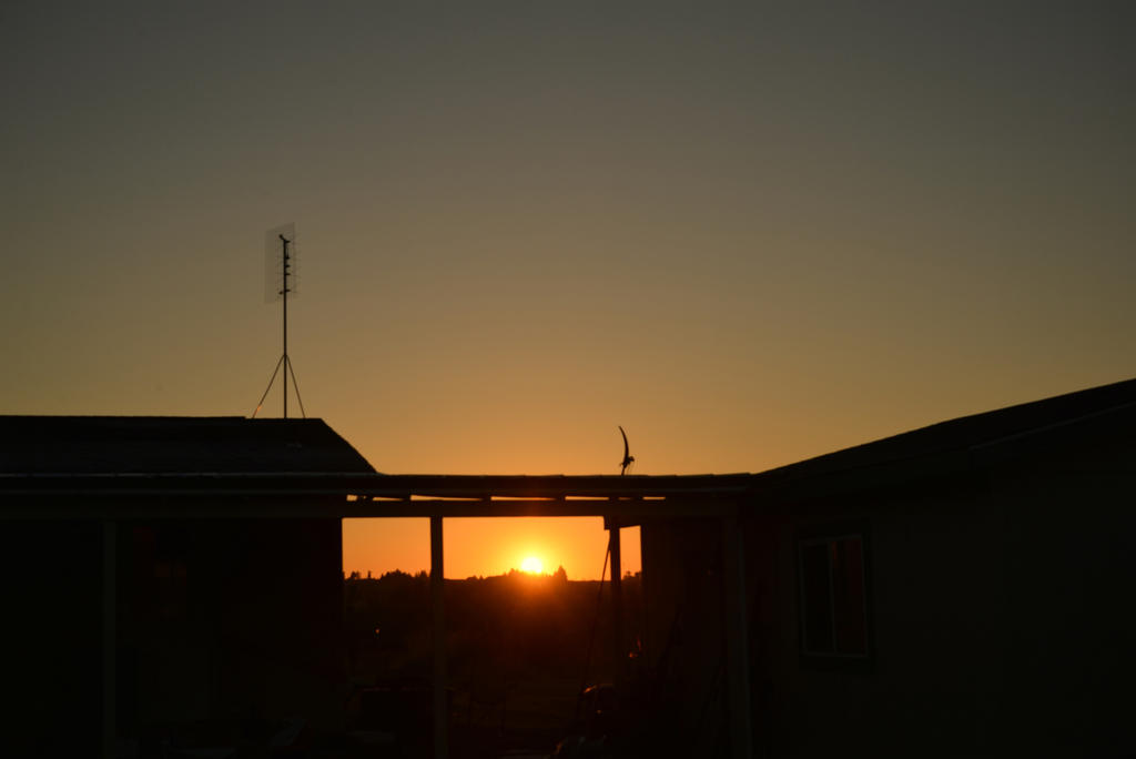 DSC_4934.jpg