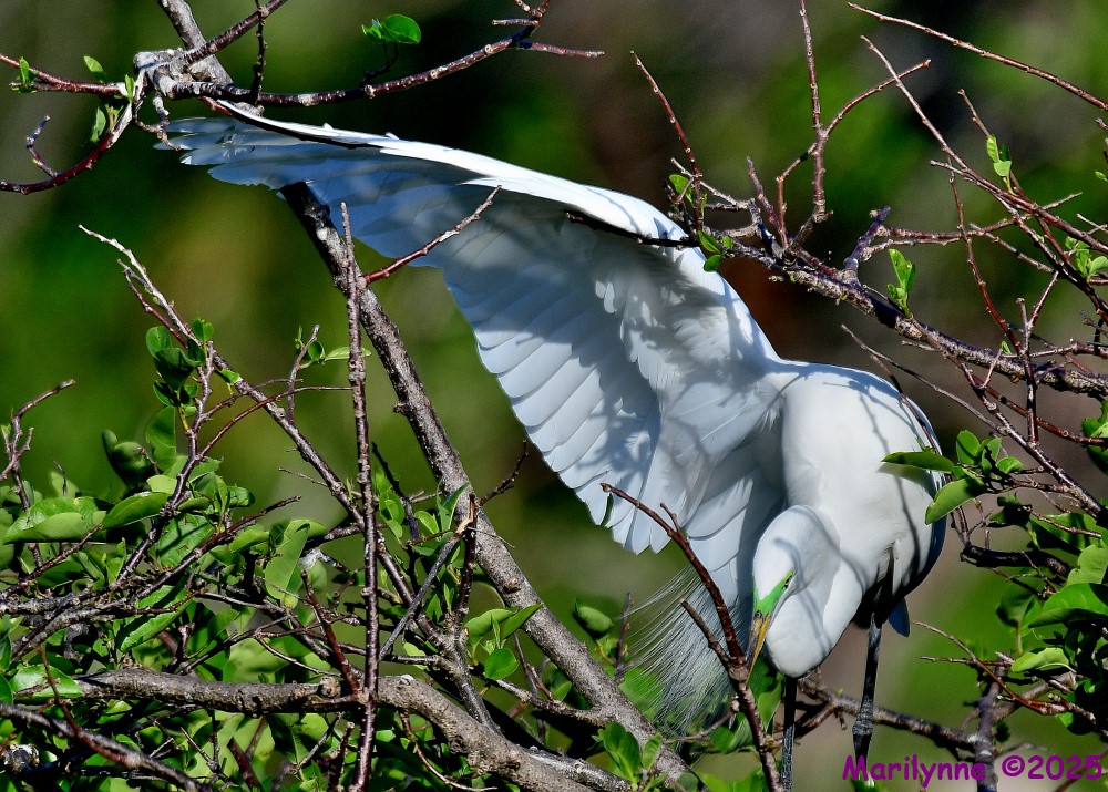 DSC_4936_001.JPG