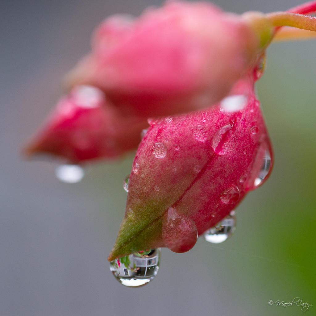 DSC_4939.jpg