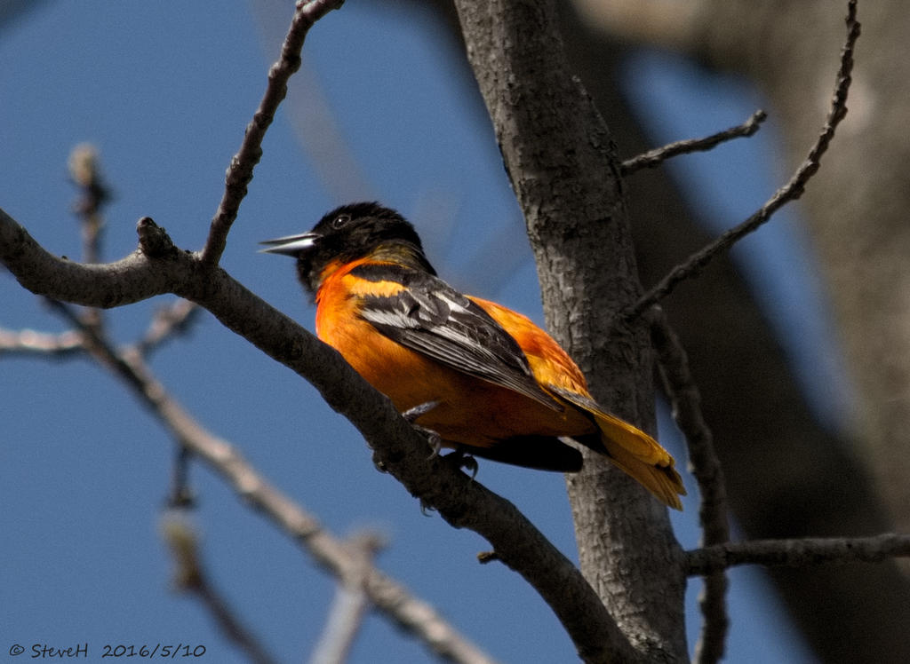 DSC_4942.jpg