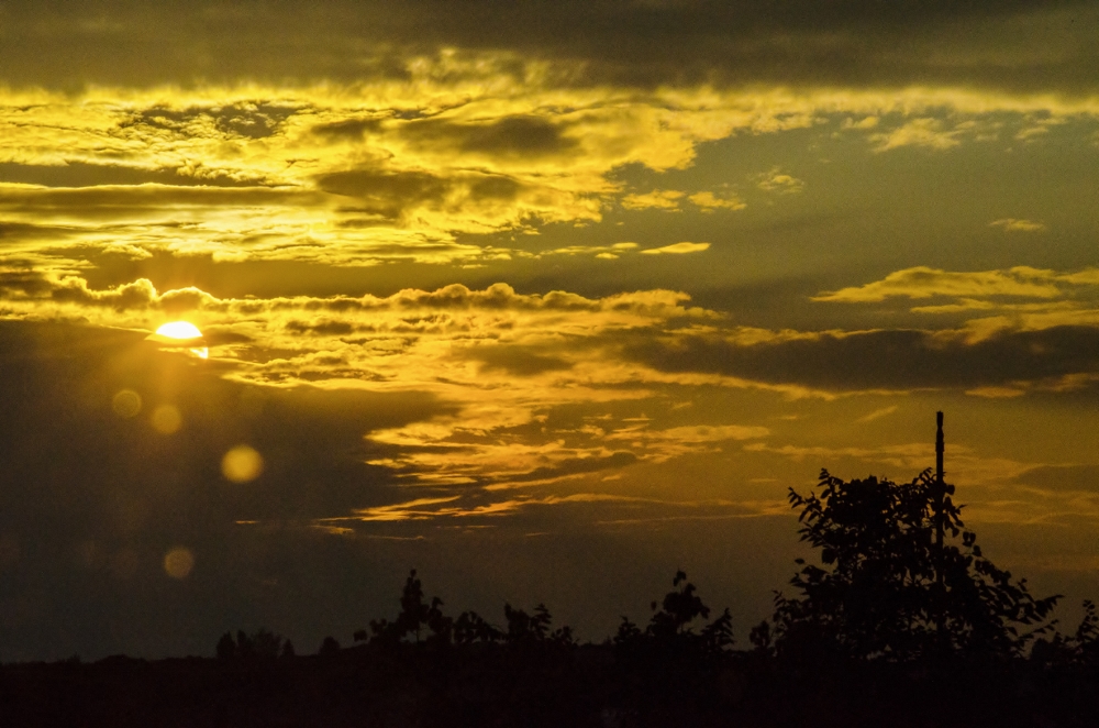 DSC_4948 (1000x662).jpg