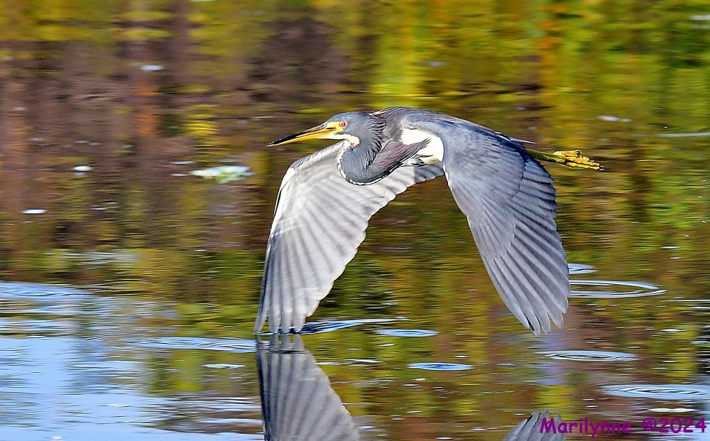 DSC_4956_001.JPG