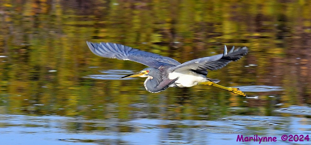 DSC_4958_001.JPG