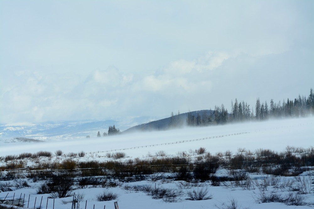 DSC_4959.JPG