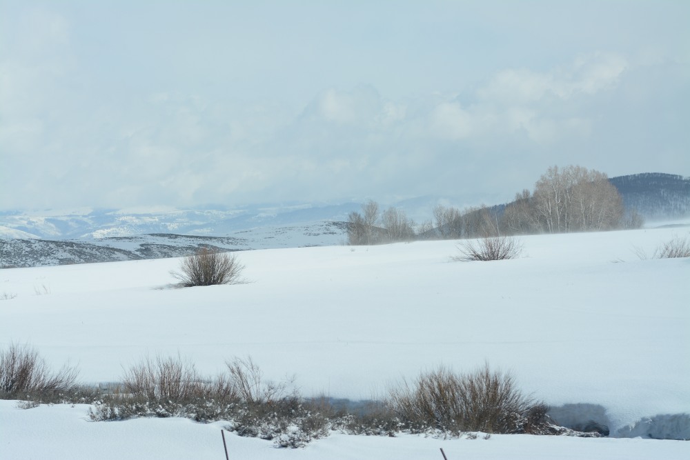 DSC_4960.JPG