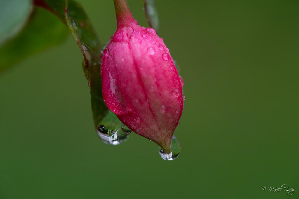 DSC_4962.jpg