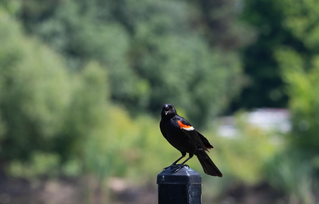 DSC_4969.jpg