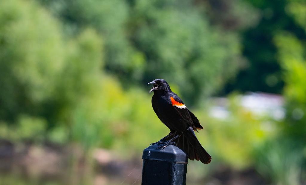 DSC_4970.jpg