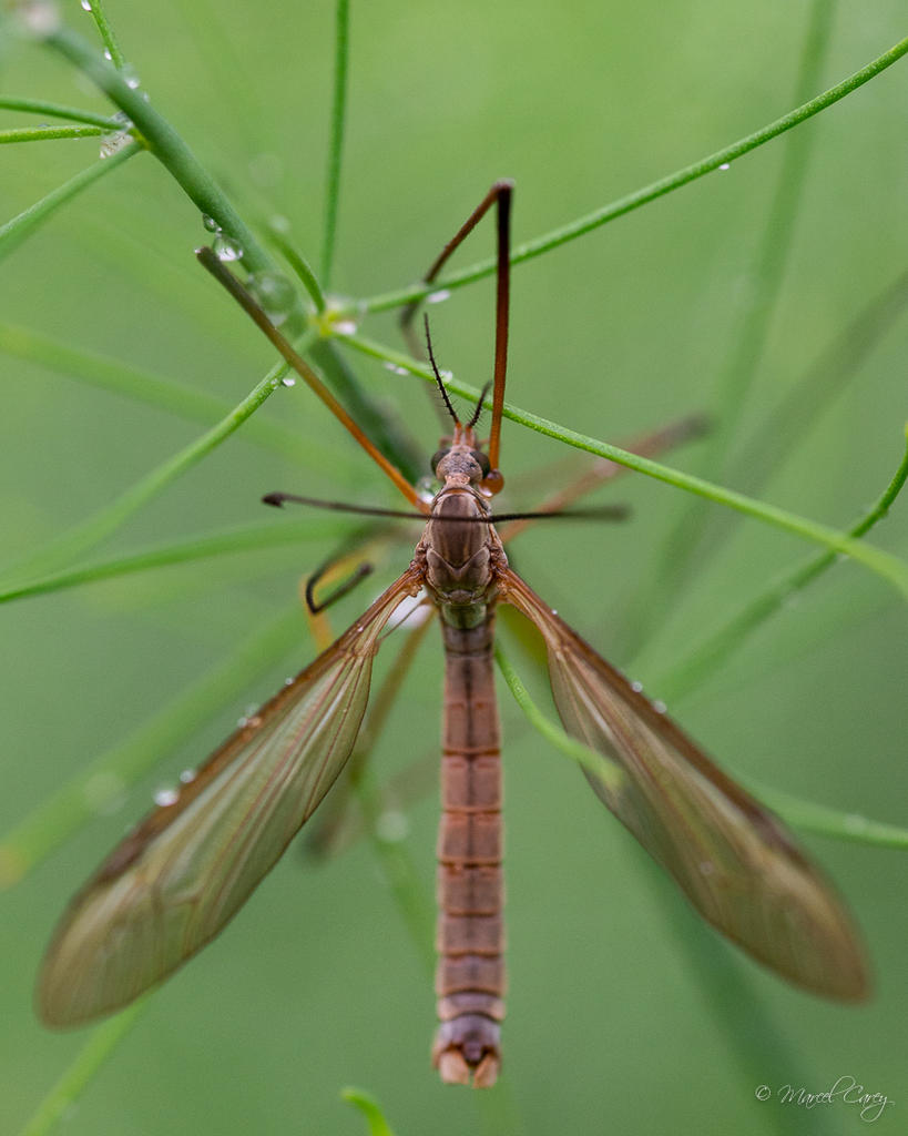 DSC_4972.jpg