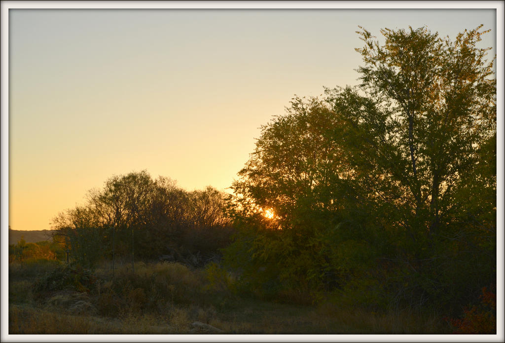 DSC_4972.jpg