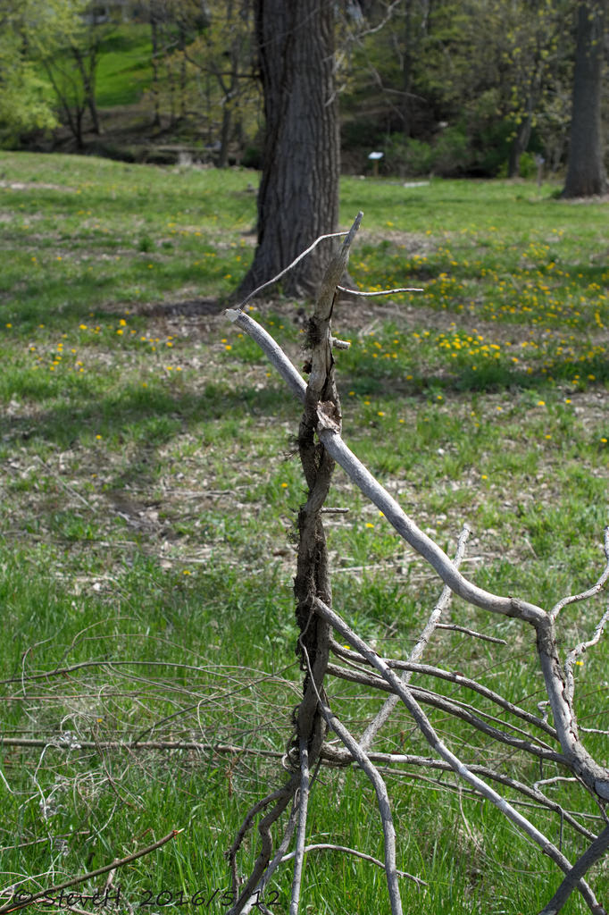 DSC_4977.jpg