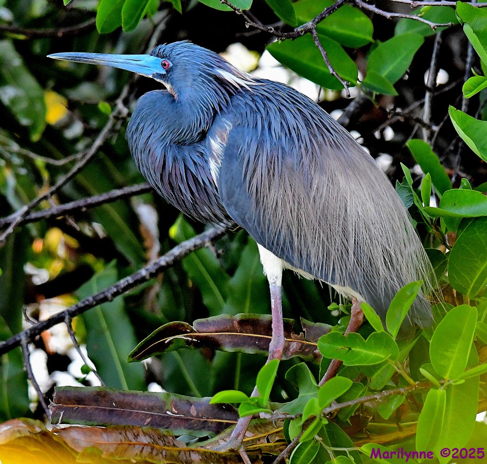 DSC_4980_001.JPG