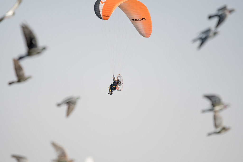 DSC_4991.jpg