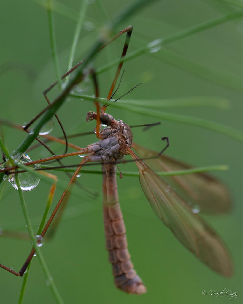 DSC_4992.jpg