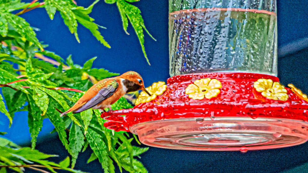 DSC_4994-Edit.jpg