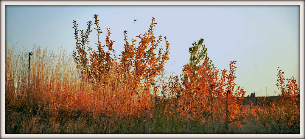 DSC_4996.jpg