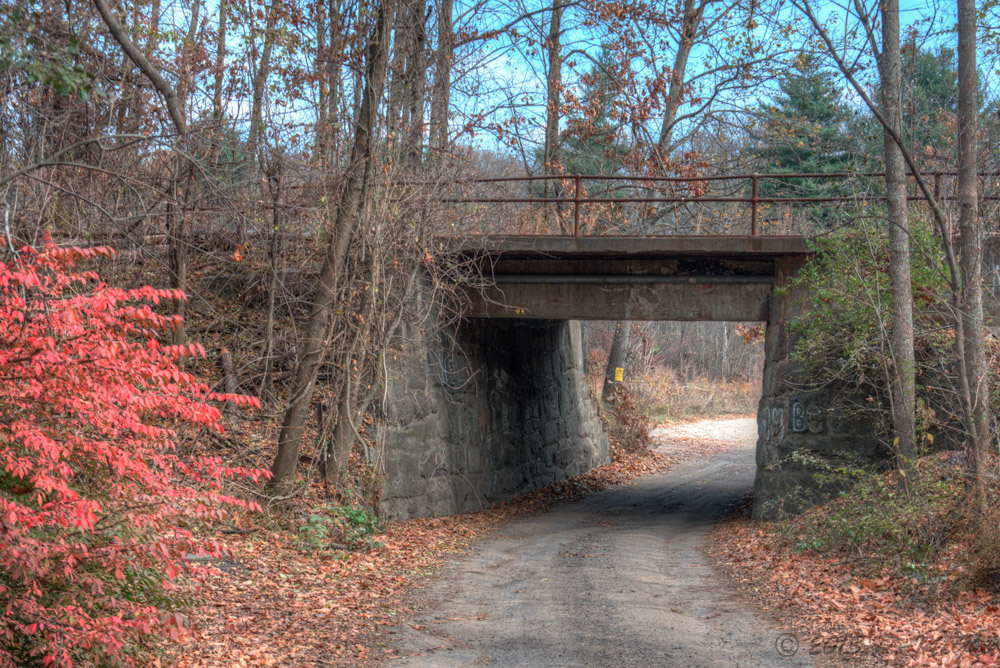 DSC_4997_8_9_tonemapped.jpg