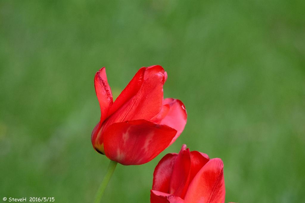 DSC_4998.jpg