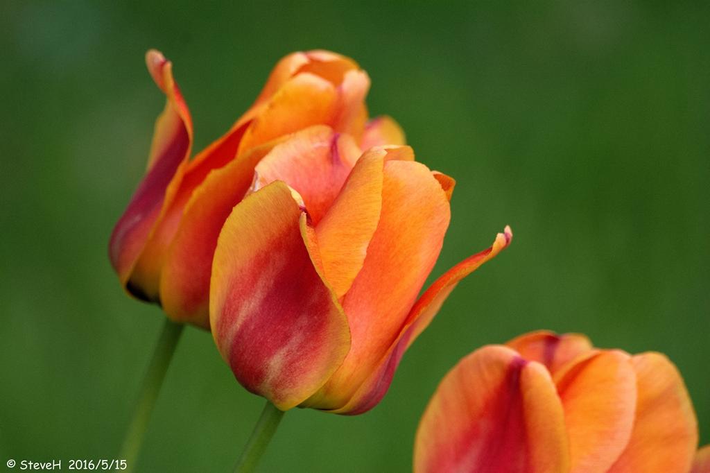 DSC_4999.jpg