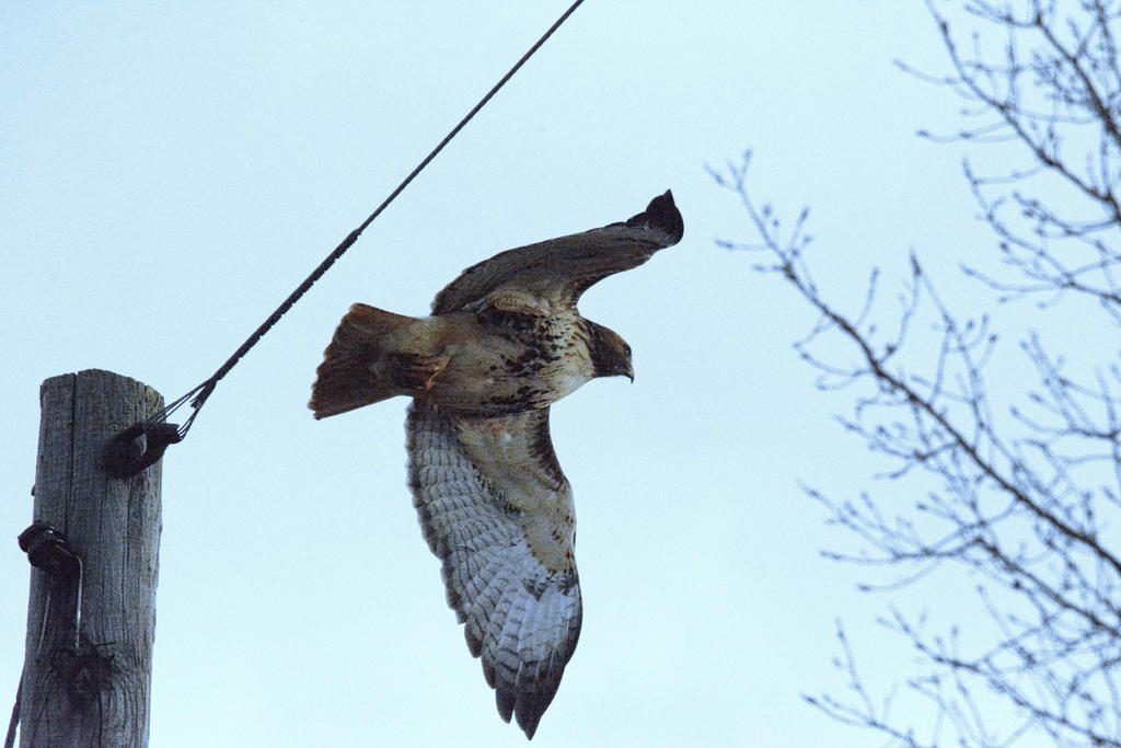 DSC_5001-1-1.jpg