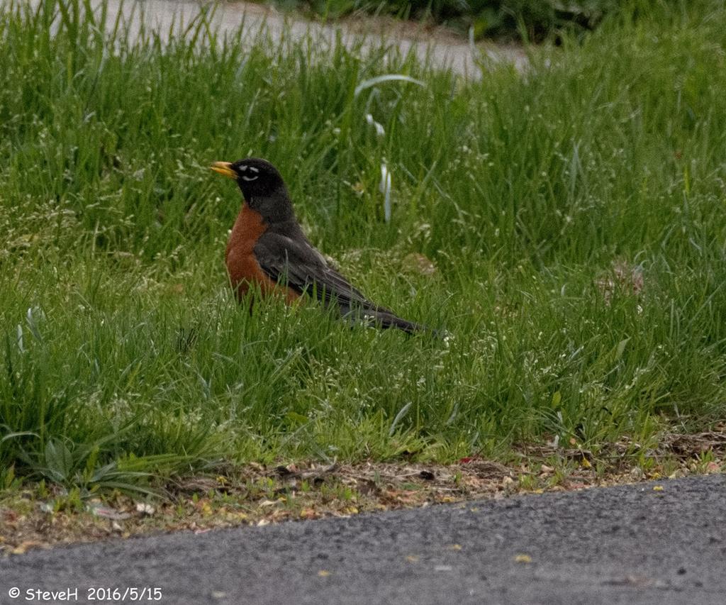 DSC_5003.jpg