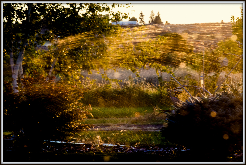 DSC_5005.jpg