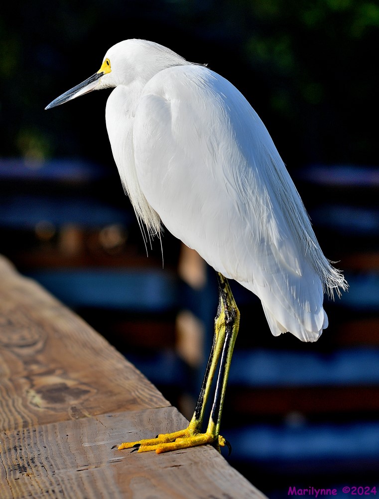 DSC_5005_001.JPG