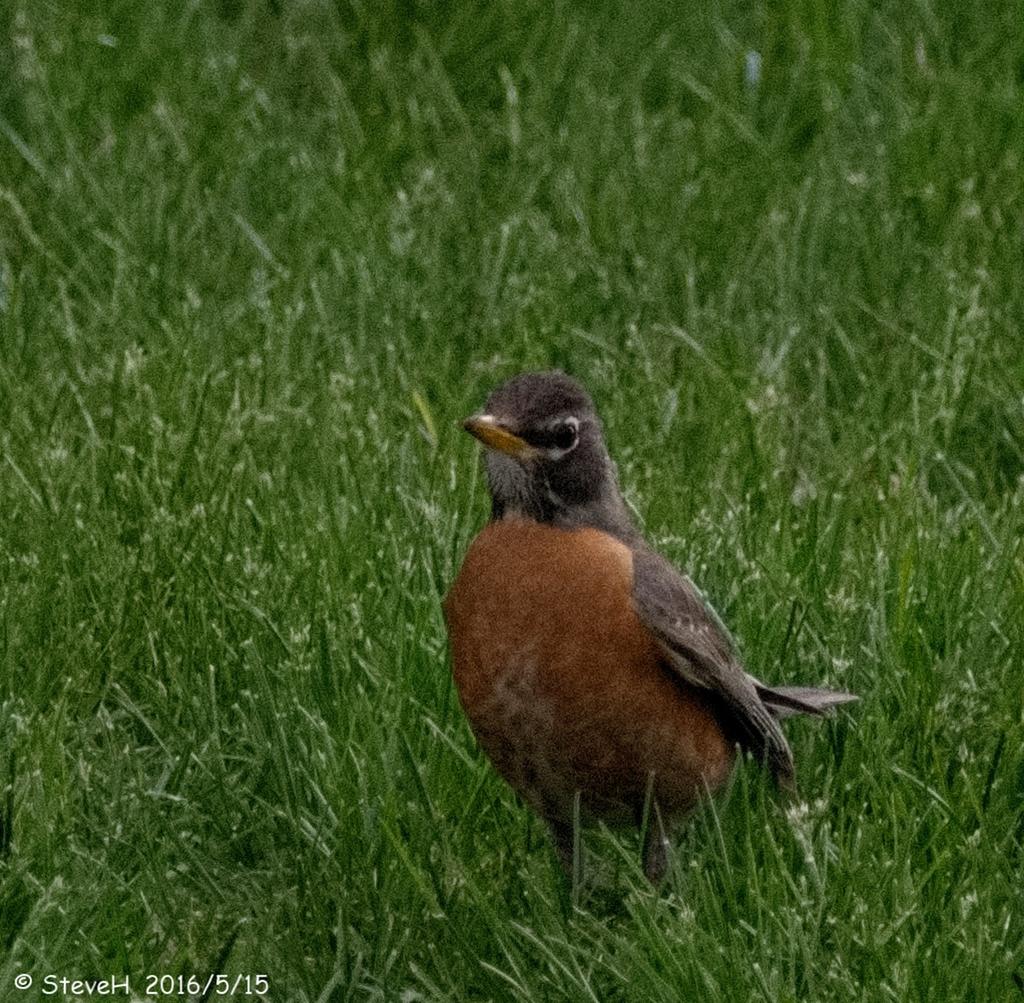 DSC_5006.jpg