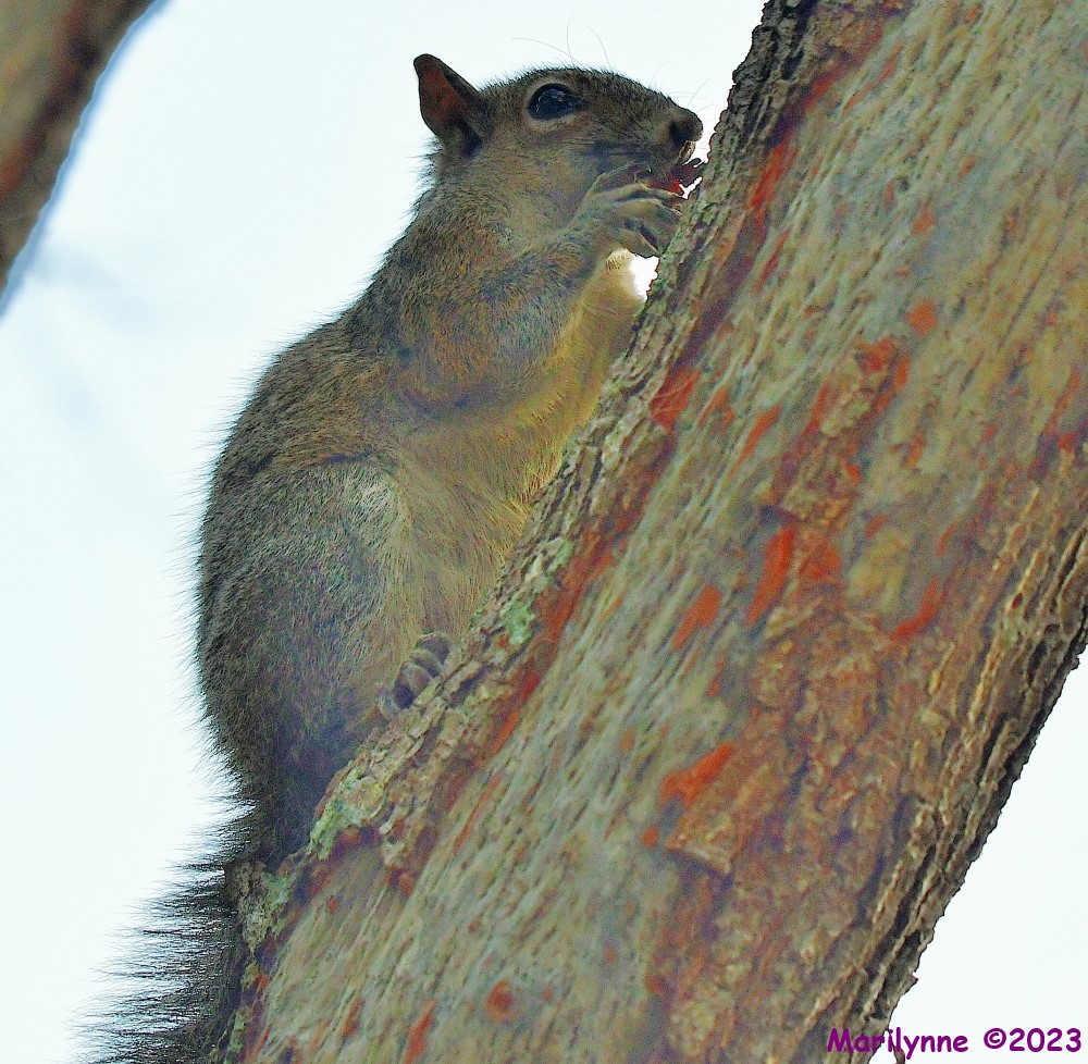 DSC_5007_001.JPG