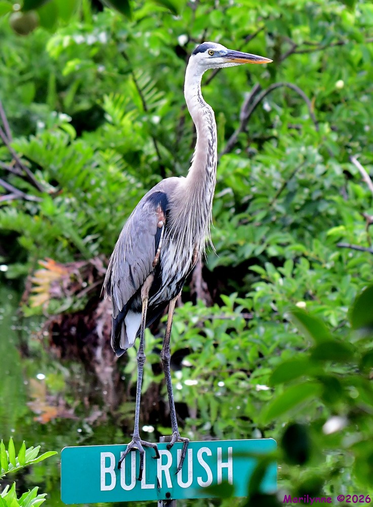 DSC_5009_001.JPG