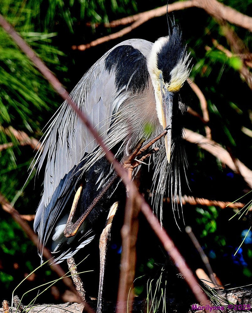 DSC_5011_001.JPG