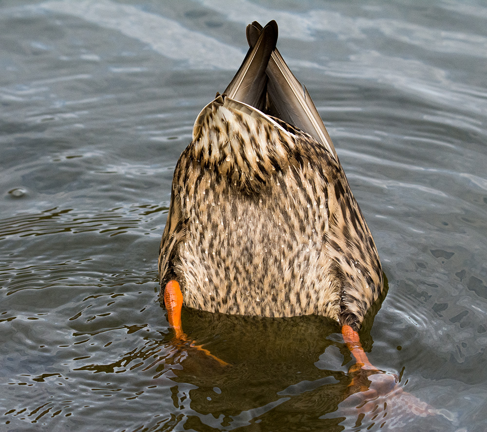 DSC_5013.jpg