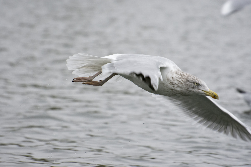 DSC_5013.jpg