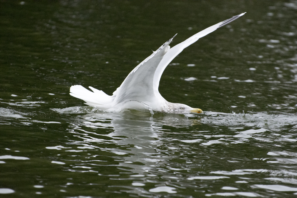 DSC_5015.jpg