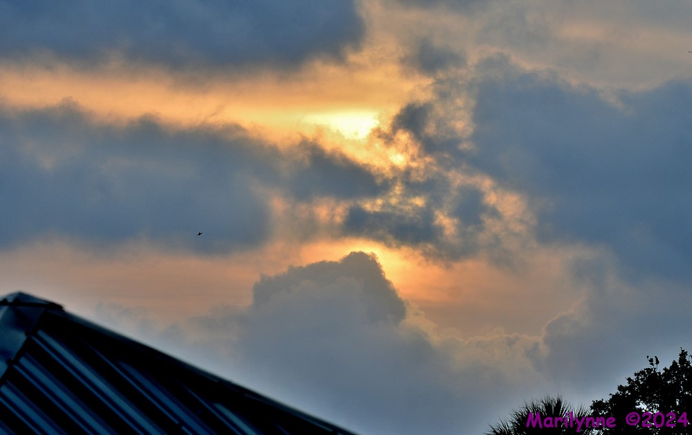DSC_5017_001.JPG