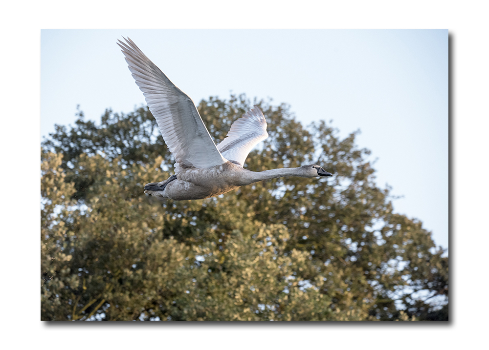 DSC_5021.jpg