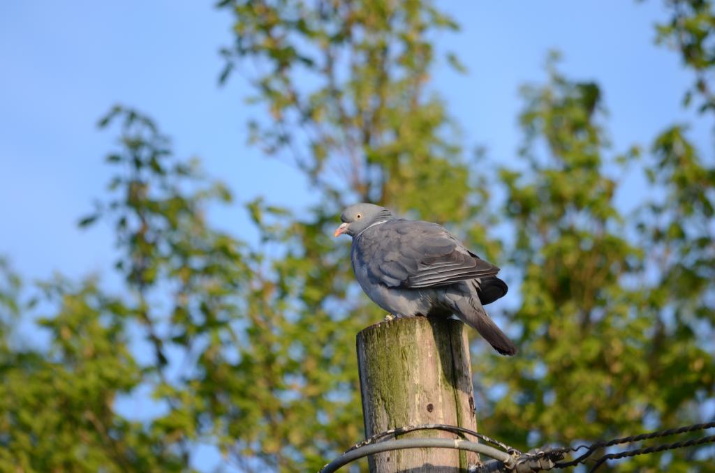 DSC_5021.jpg