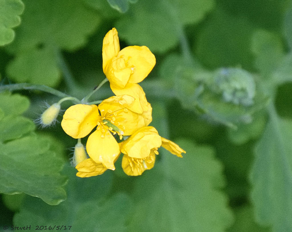 DSC_5022.jpg