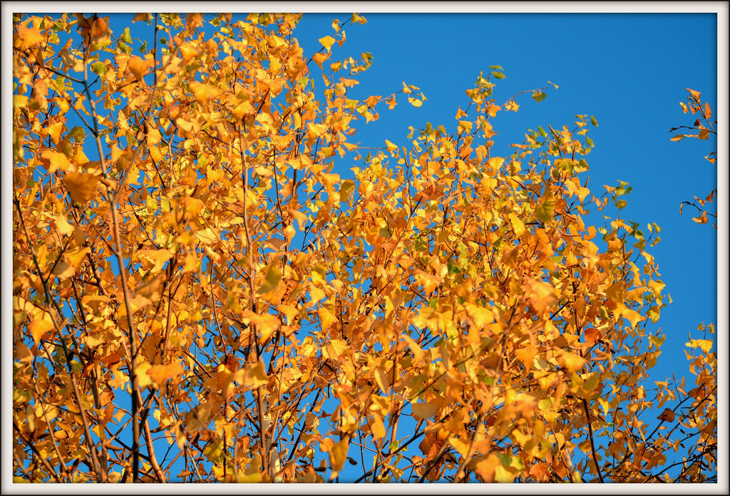 DSC_5022.jpg