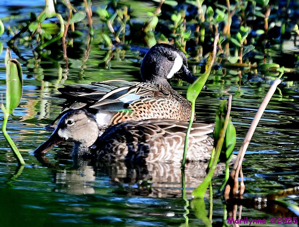 DSC_5023_001.JPG
