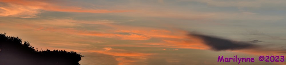 DSC_5023_stitch6_001.JPG