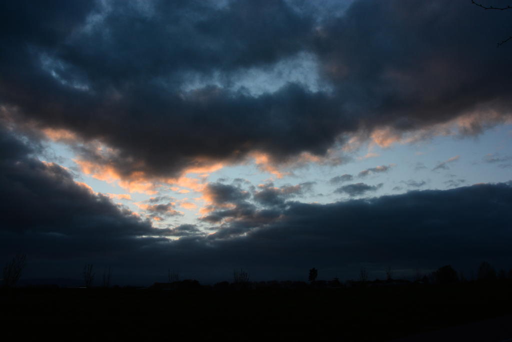 DSC_5025.jpg