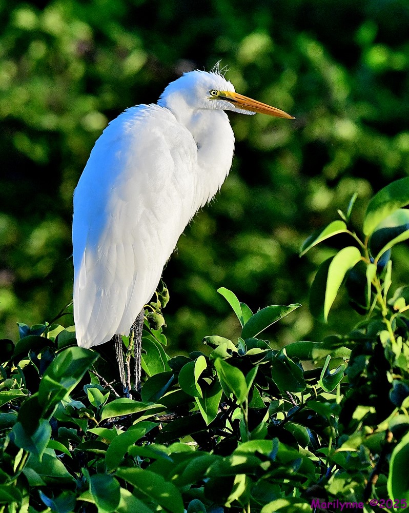 DSC_5026_001.JPG