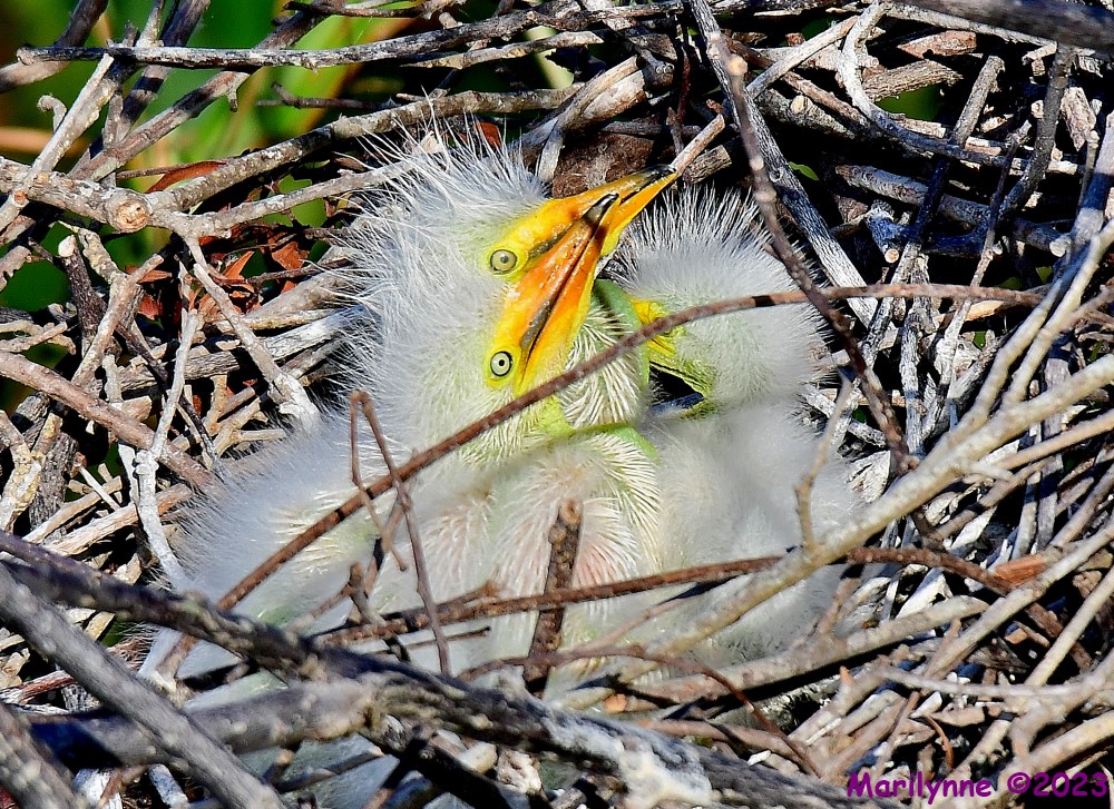 DSC_5028_001.JPG
